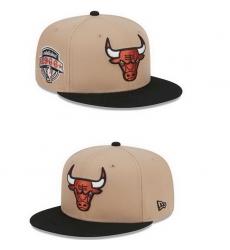 Chicago Bulls Snapback Cap 25G021