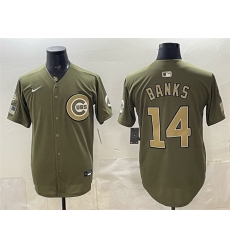 Men Chicago Cubs  14 Ernie Banks Royal Olive 2026 Armed Forces Day Salute To Service Stitched Baseball Jersey