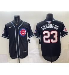 Men Chicago Cubs  Ryne Sandberg 150th Anniversary Black Out Style Vapor Premier Limited Stitched Baseball Jersey