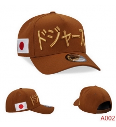 Los Angeles Dodgers Snapback 25G165