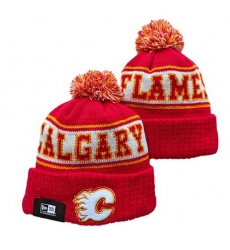Calgary Flames Beanies 25K 437 Calgary Flames Beanies 25K 437