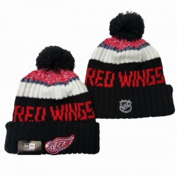 Detroit Red Wings Beanies 002