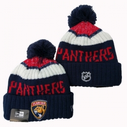 Florida Panthers Beanies Cap 25G001