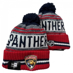 Florida Panthers Beanies Cap 25G002